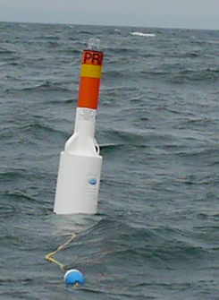 0.30 Buoy