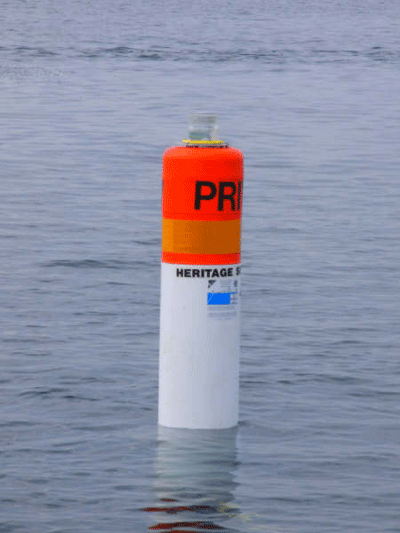 Buoy in position
