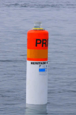 0.25 Buoy