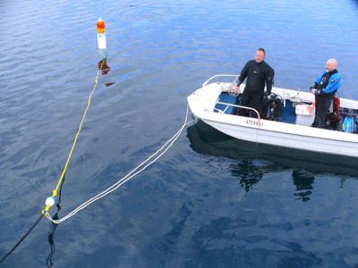 Buoy in use