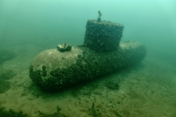 Minisub