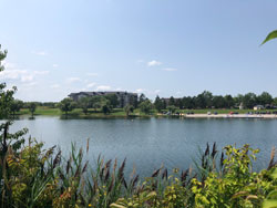 park_1
