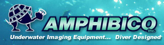 Amphibico Logo