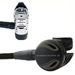 alpha8cdx5 regulatoe